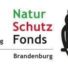 Stiftung Naturschutzfonds lobt auch 2023 Naturschutzpreis aus