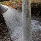 Stahnsdorf spendet Wasser für Jungbäume